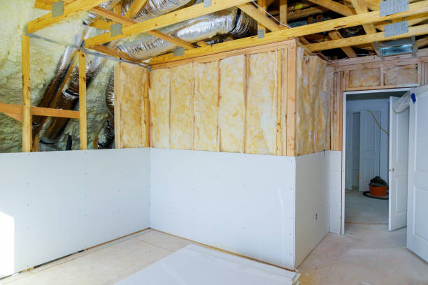 Best Insulation Repair Services  in Lineville, AL