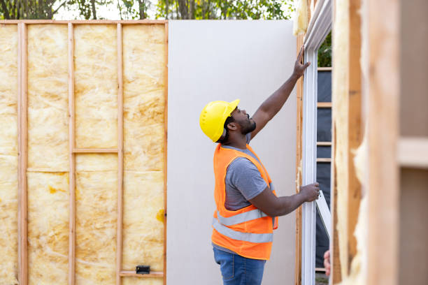 Best Cellulose Insulation  in Lineville, AL