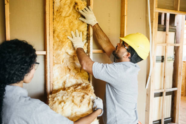 Reliable Lineville, AL Insulation Contractor Solutions