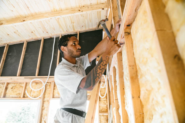 Best Home Insulation Services  in Lineville, AL