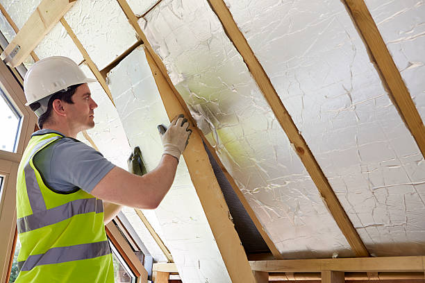 Best Energy-efficient Insulation  in Lineville, AL