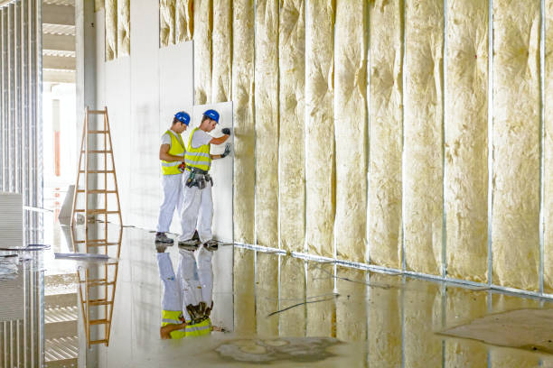 Best Spray Foam Insulation  in Lineville, AL
